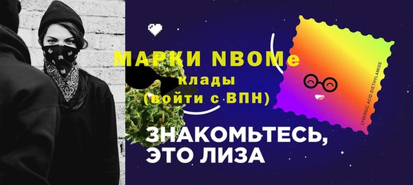 гидра Зеленодольск