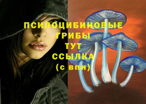 каннабис Зеленокумск