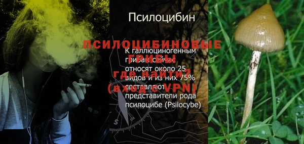 каннабис Зеленокумск