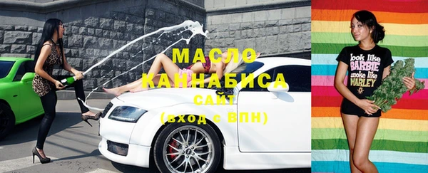 гидра Зеленодольск