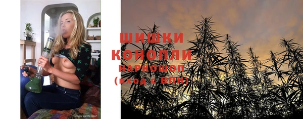 гидра Зеленодольск