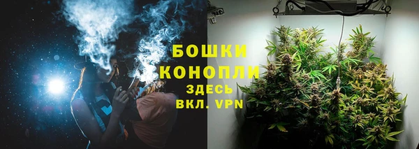 гидра Зеленодольск