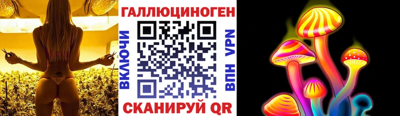Псилоцибиновые грибы Psilocybe  Купить где  Новоаннинский 